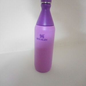 NEW Stanley Slim Bottle for All Day Hydration in Lilac Purple, 20 oz or 591 mL